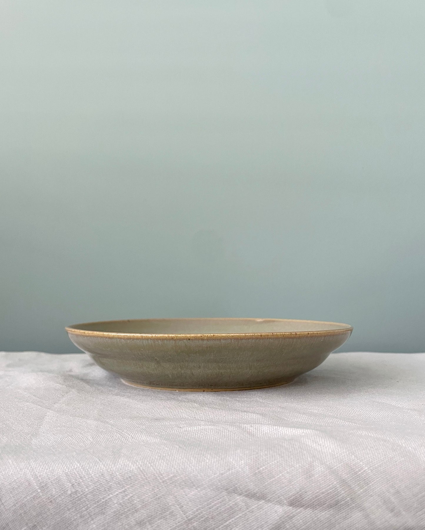 Dish - Sediment