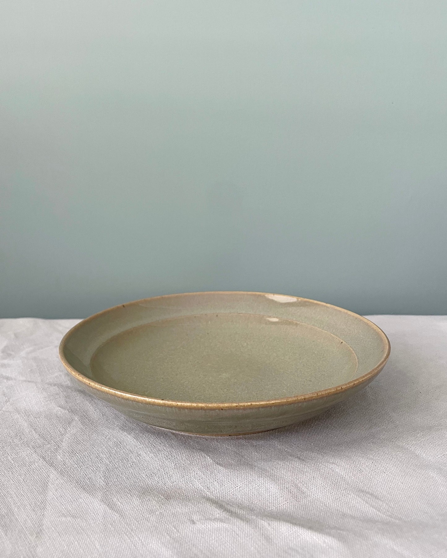 Dish - Sediment