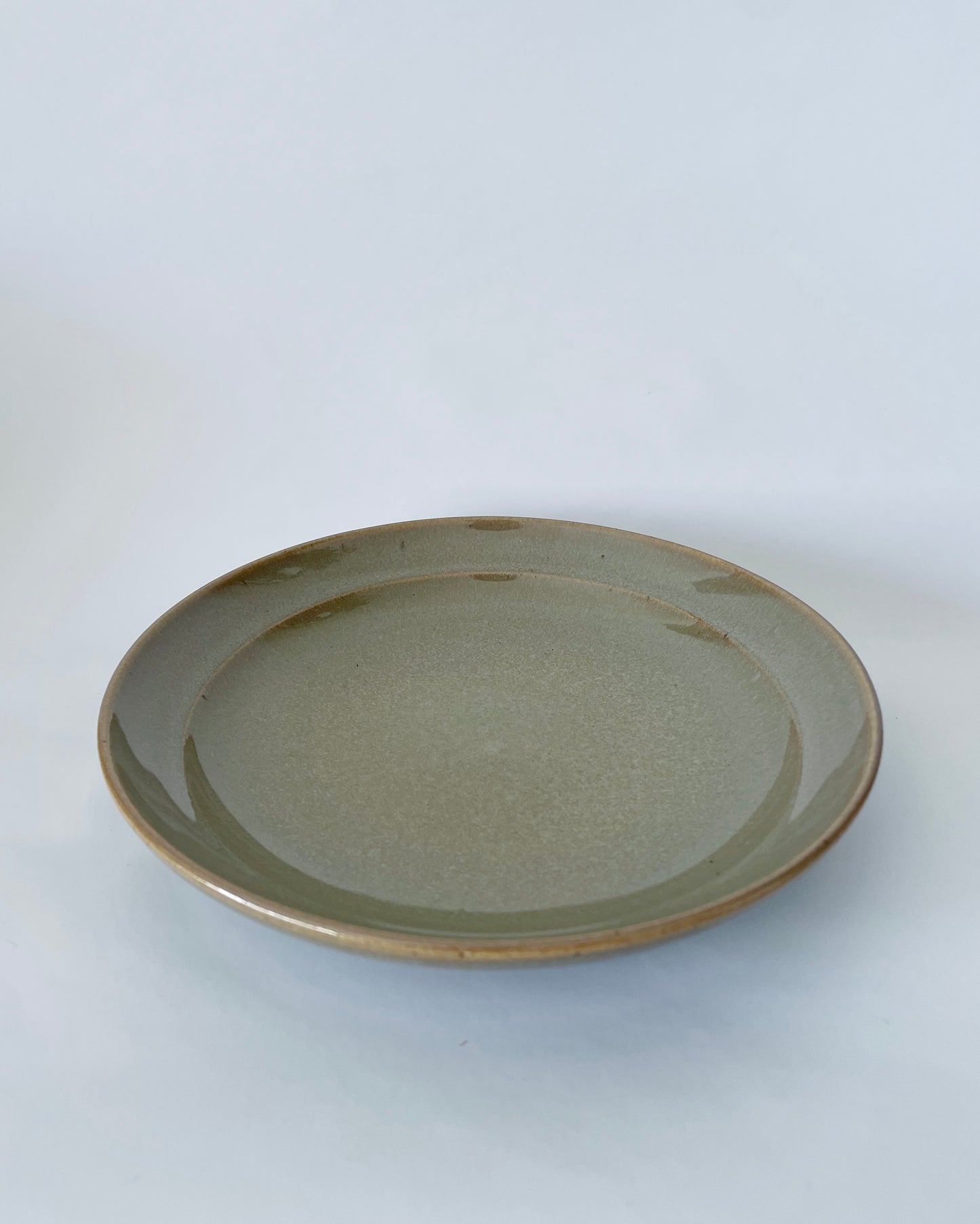 Dish - Sediment